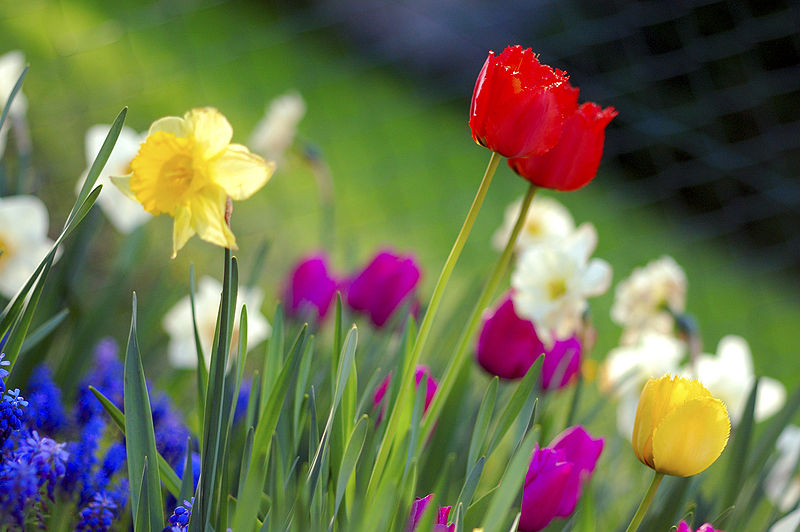 5 Ideen, wie man die Osterferien verbringen kann